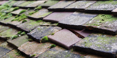 Loxton roof repair costs